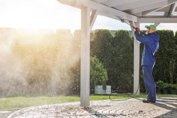 Best Graffiti Removal  in Palm Coast, FL